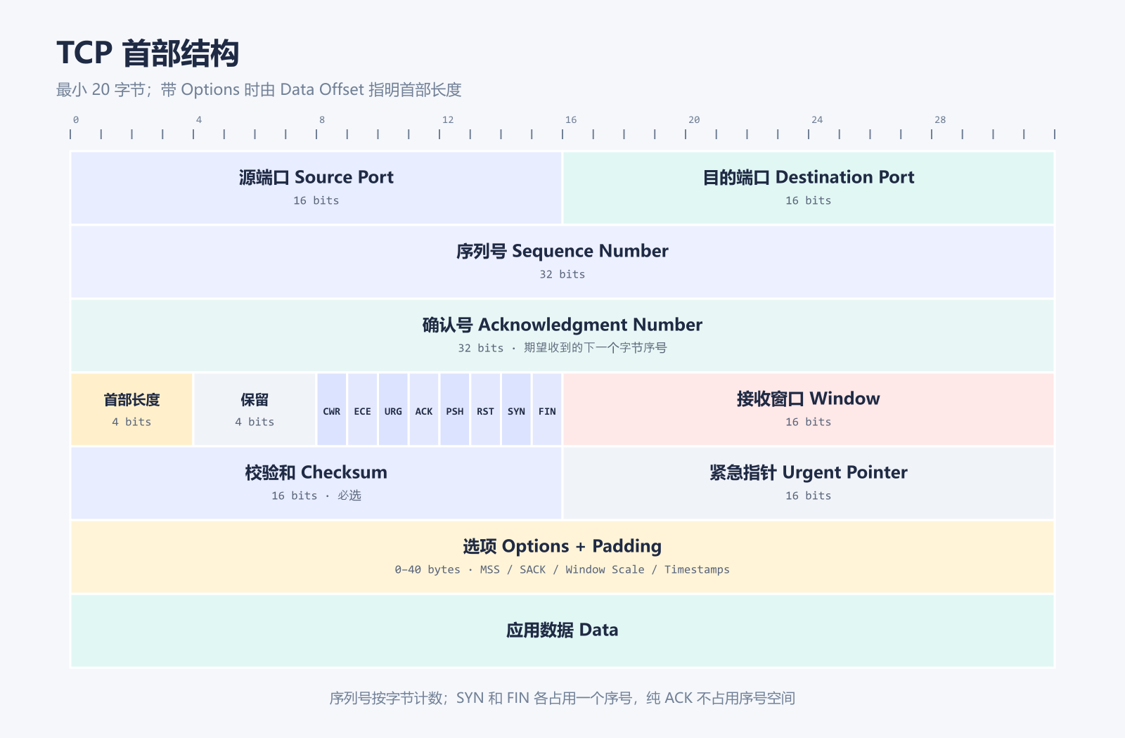 TCP 首部结构图，展示源端口、目的端口、序列号、确认号、首部长度、标志位、窗口、校验和、紧急指针与选项